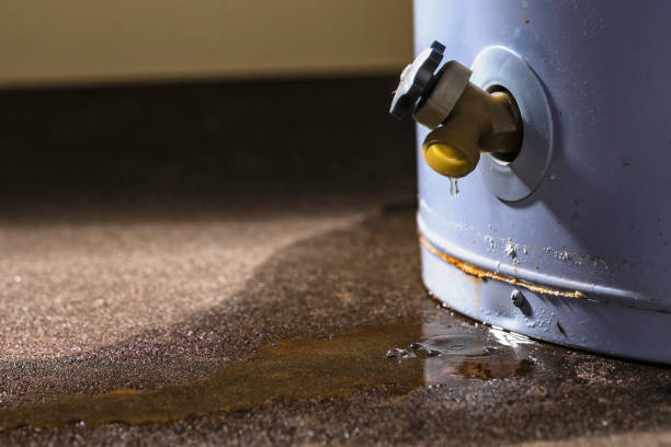 Best Mold removal after water damage  in Nellieburg, MS