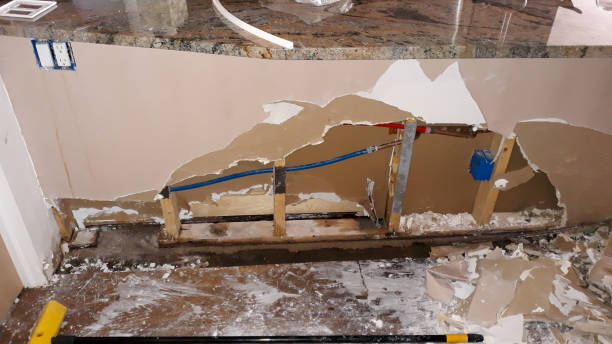 Best Water damage restoration near me  in Nellieburg, MS