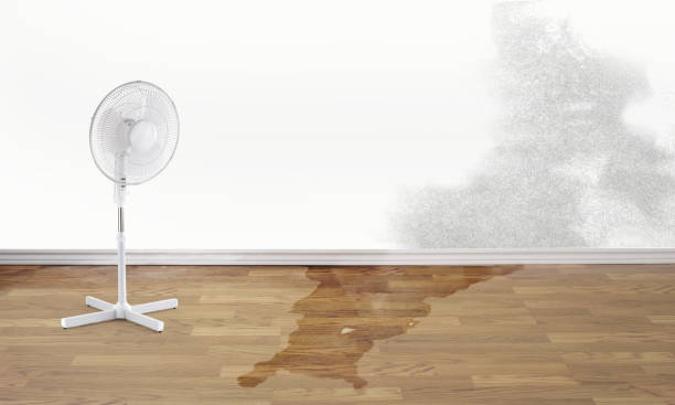 Best Commercial water damage restoration  in Nellieburg, MS
