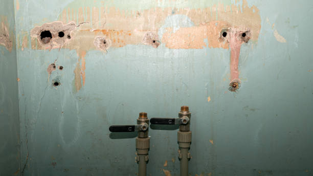 Professional Water damage restoration in Nellieburg, MS