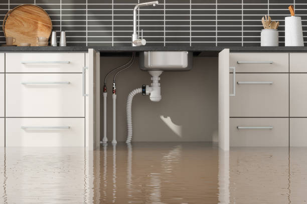 Best Fire Damage Restoration  in Nellieburg, MS