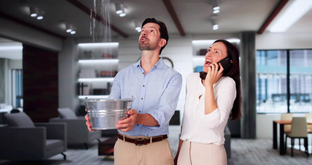 Best Mold removal after water damage  in Nellieburg, MS